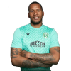 Player cutout