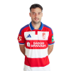 Player cutout