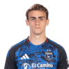 Player cutout