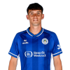 Player cutout