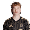 Player cutout