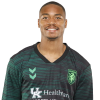 Player cutout