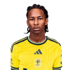 Player cutout