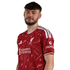 Player cutout