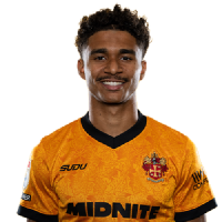 Player Cutout