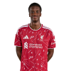 Player cutout
