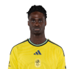 Player cutout