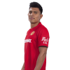 Player cutout