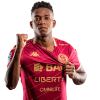 Player cutout