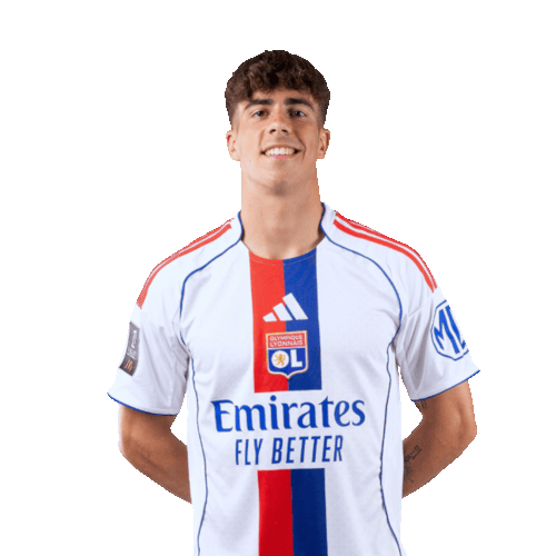 Afonso Bastardo Moreira