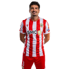 Player cutout