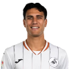 Player cutout
