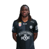 Player cutout