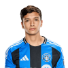 Player cutout