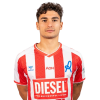 Player cutout