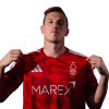 Player cutout
