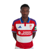 Player cutout