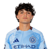 Player cutout