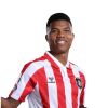 Player cutout