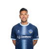 Player cutout