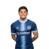 Player cutout