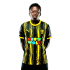 Player cutout