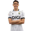 Player cutout
