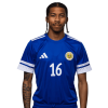 Player cutout