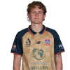 Player cutout