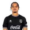 Player cutout