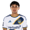 Player cutout
