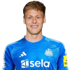 Player cutout