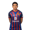 Player cutout