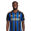 Player cutout