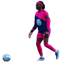 Player render