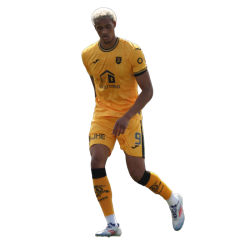 Player render