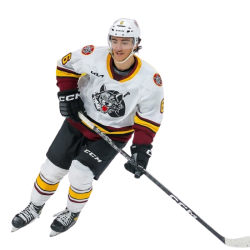 Player render