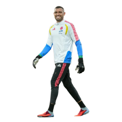 Player render