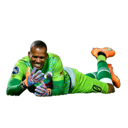 Player render