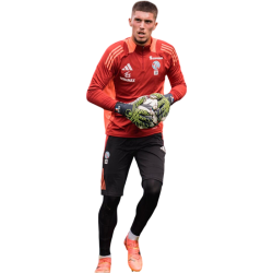 player render