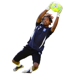 player render