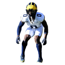 Player render
