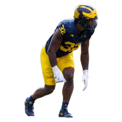 Player render
