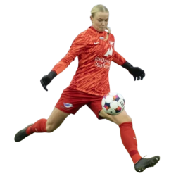 player render