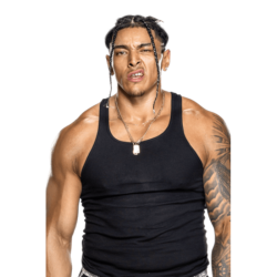 Player render