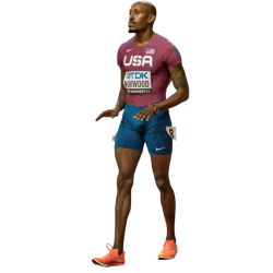 player render
