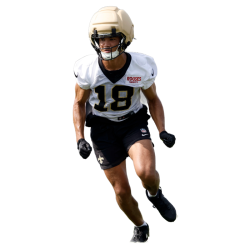 Player render
