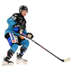 Player render
