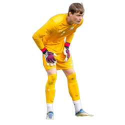 player render