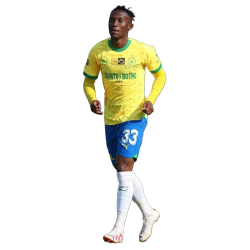 player render